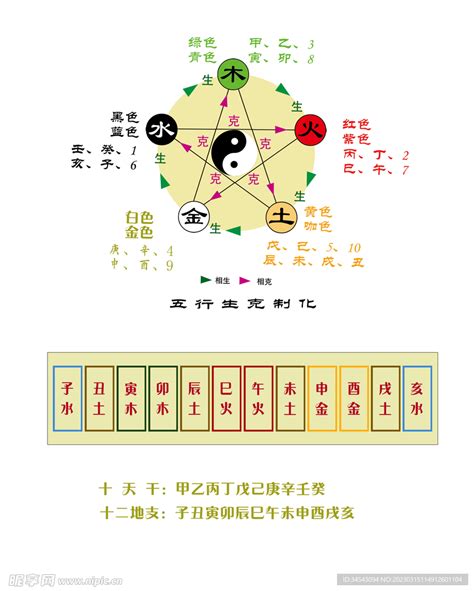 12支 五行|天干地支五行对照表图 阴阳五行